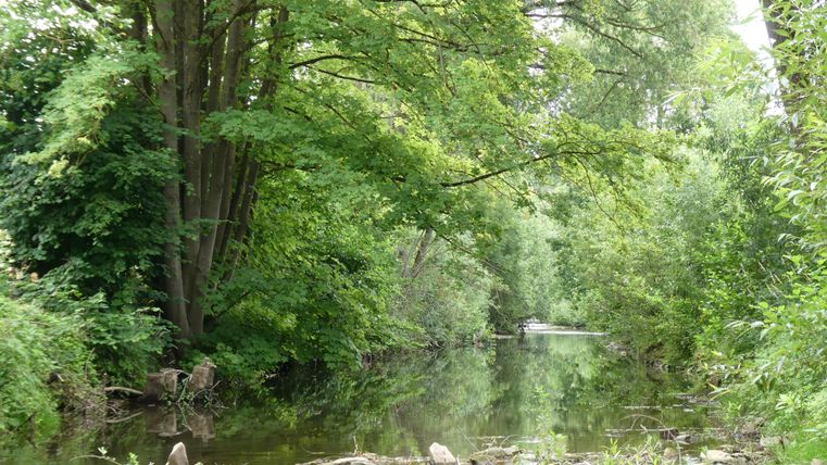 Ein historisches Gebäude mit Türmen und mehreren Fenstern steht am Ufer eines ruhigen Gewässers. Der Garten ist grün und lädt zur Erholung ein.