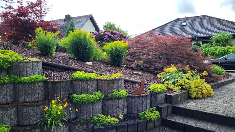 Un jardin magnifiquement conçu avec des plantes et des arbustes colorés. Les parterres en pierre, en terrasses, s'intègrent harmonieusement dans le paysage.