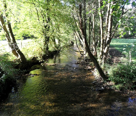 In de Kall, © Eifel-Yeti