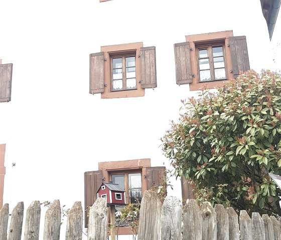 Rader Huis gevel, © Tourist-Information Wittlich Stadt & Land