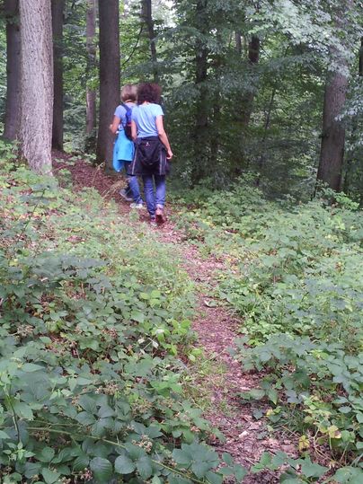 Zwei Frauen wandern auf dem schmalen Waldpfad rechts und links grüne Bodenbedeckende Pflanzen