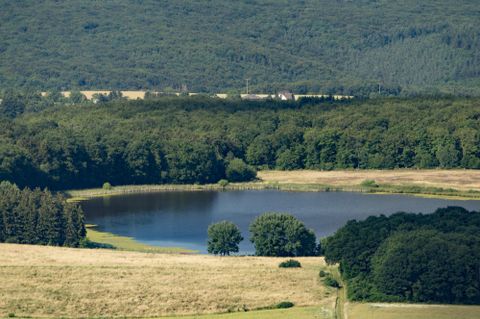 Un paysage idyllique avec un grand lac et des forêts environnantes. Au premier plan, des champs et un bâtiment sont visibles.