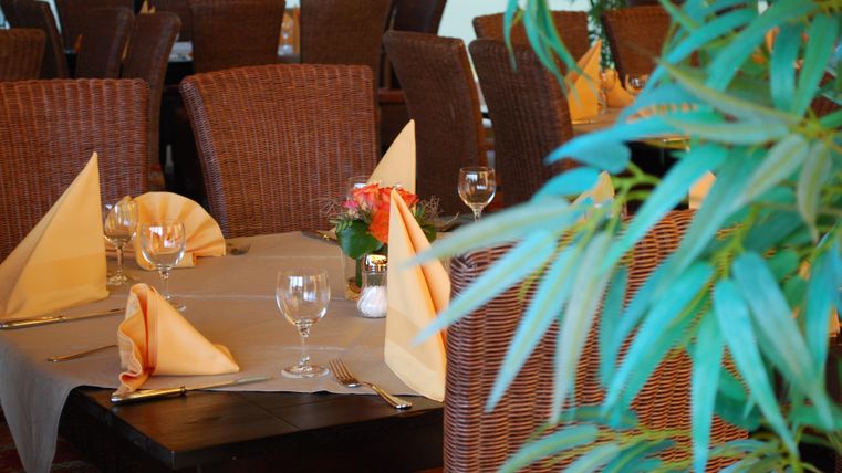 An elegant restaurant with set tables and cozy chairs. The decoration includes plants and artfully folded napkins.