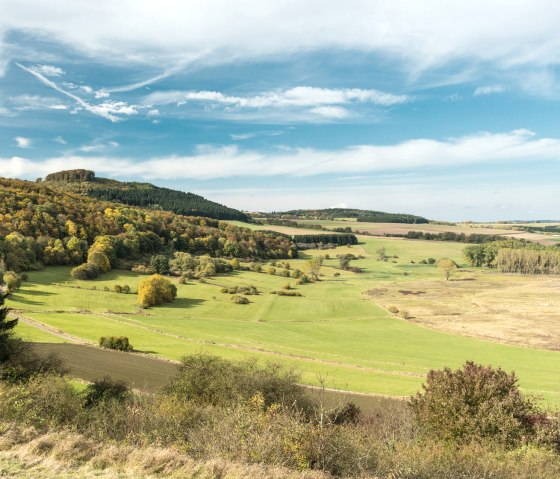 Mineraalwaterroute: Dreiser Weiher, © Eifel Tourismus GmbH/D. Ketz