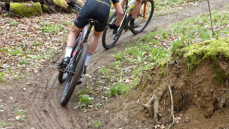 Twee fietsers rijden over een smal, kronkelig pad door een bos. De omgeving is groen en met bladeren bedekt.