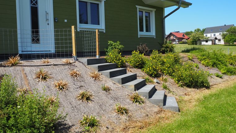 Ein modernes Haus mit hellgrüner Fassade und einer schönen Gartengestaltung. Stufen führen durch eine bepflanzte Fläche zum Eingang.