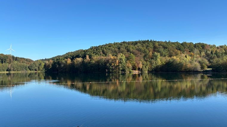 A clear lake reflects the colorful trees at the shore. The sky is brightly blue and the landscape looks calm and peaceful.