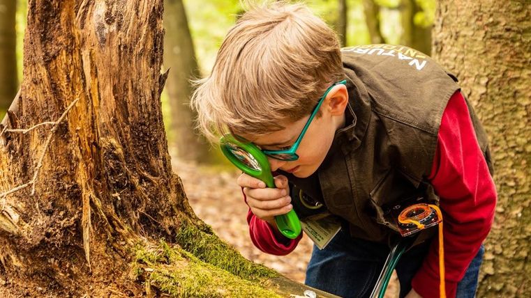 A curious boy examines a tree stump in the forest with a magnifying glass. Surrounding him are green trees and nature is alive.