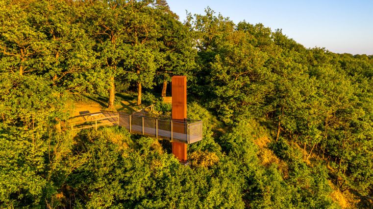Ein Skywalk aus Metall ragt über einen bewaldeten Hang, umgeben von grünen Bäumen im Sonnenlicht.