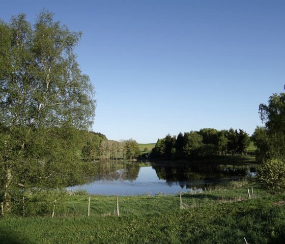Uitzicht op de Booser Doppelmaar, © Laura Rinneburger, Touristik-Büro Vordereifel