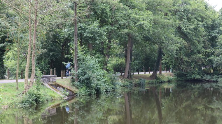 Een rustig pad langs een bebost meer met een fietser op de achtergrond.