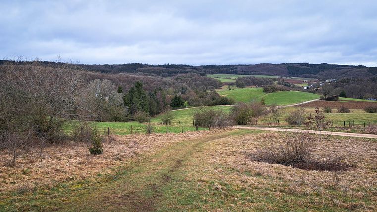 Eine ruhige Landschaft mit sanften Hügeln und grünen Wiesen. Der Himmel ist bewölkt und die Atmosphäre ist friedlich.