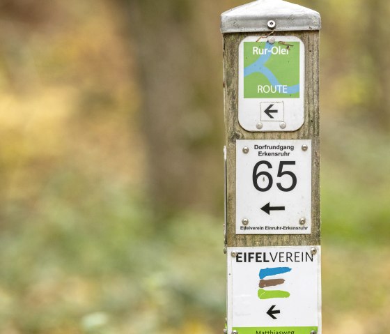 ET-2022-144-Schrauffweg Püngelbach-@Eifel Tourismus GmbH, Dominik Ketz, © Eifel Tourismus GmbH, Dominik Ketz
