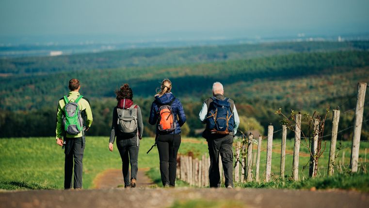 Een groep van vier wandelaars loopt een pad langs, omgeven door groene velden en een wijd uitzicht in de verte. De sfeer is ontspannen en de natuur is mooi.