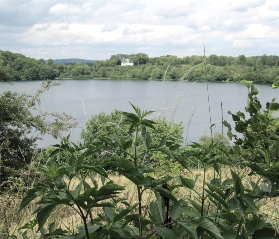 Marais viticole de Daun, © Gertrud Wieser