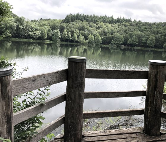 Das Holzmaar bei Gillenfeld, © Gesundland Vulkaneifel GmbH