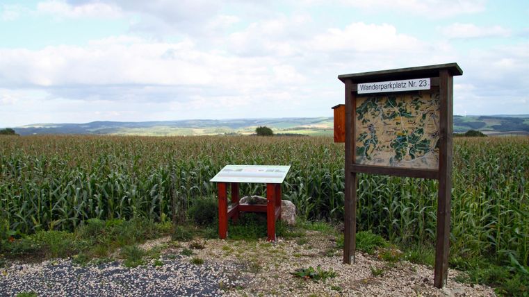 Ein Blick auf ein Feld mit hochgewachsenen Maispflanzen und einer Informationsstelle. Im Hintergrund erstrecken sich sanfte Hügel unter einem wolkigen Himmel.