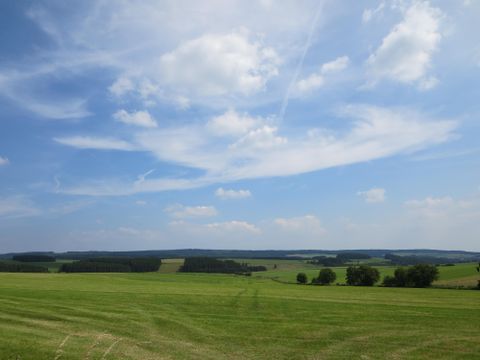 Un vaste paysage de prairie sous un ciel bleu avec quelques nuages. À l'arrière-plan, on peut voir des collines douces et des arbres.