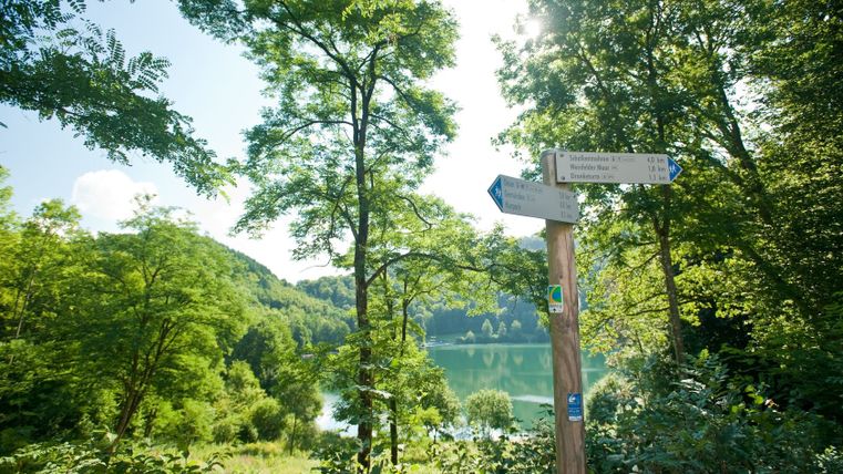 Wegwijzer bij de Gemünden maar in de Eifel, omringd door bomen en een meer op de achtergrond.
