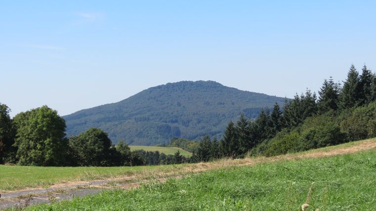 Paysage avec l'Aremberg en arrière-plan, entouré de forêts et de prairies.