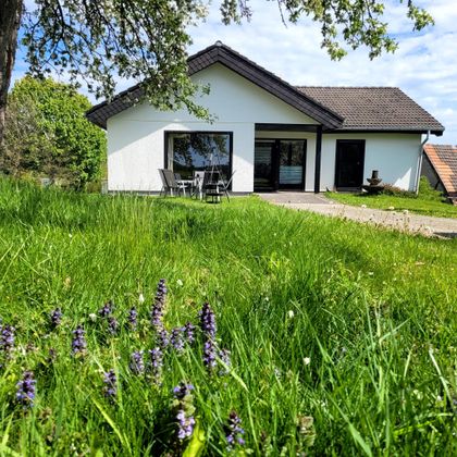 Ein modernes Haus in einer grünen Umgebung. Davor wächst frisches Gras mit lila Blumen.