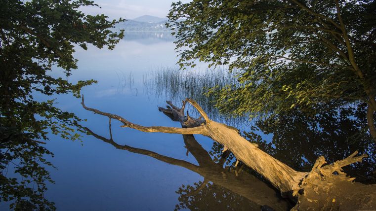 Un lac paisible avec une eau réfléchissante et une racine d'arbre au premier plan. En arrière-plan, on voit des collines douces et un ciel légèrement nuageux.