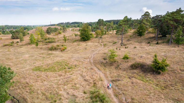 Eine weite, natürliche Landschaft mit grasbewachsenen Flächen und vereinzelten Bäumen. Zwei Personen gehen auf einem schmalen Weg durch die Umgebung.