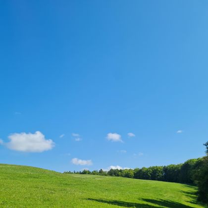 Eine grüne Wiese unter einem klaren blauen Himmel. Einige weiße Wolken sind am Himmel zu sehen.