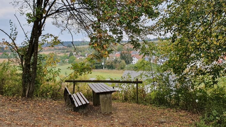 A bench under a tree with a view of a village in a hilly landscape.