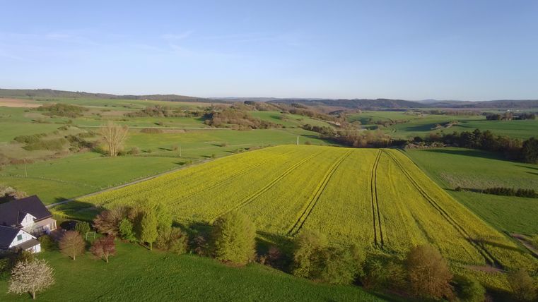 Een uitgestrekt landschap met groene velden en een enkel boerenhuis. De lucht is helder en de natuur toont zich in volle pracht.