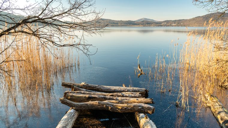 Blick auf den Laacher See mit Schilf und Holzsteg im Vordergrund.