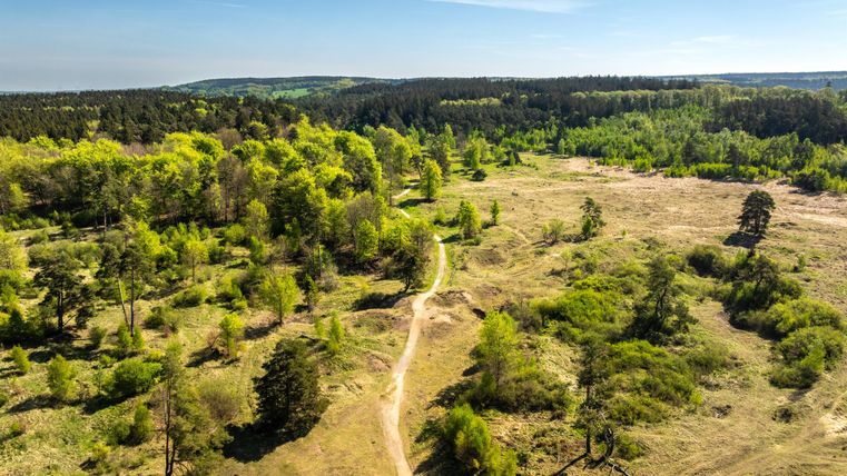 Een uitgestrekt landschap met glooiende heuvels en verspreide bomen. De lucht is helder en de vegetatie is weelderig en groen.