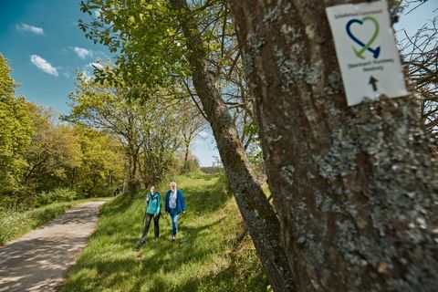 Zwei Personen wandern bei Sonnenschein auf einem Waldweg mit Wegemarkierung.