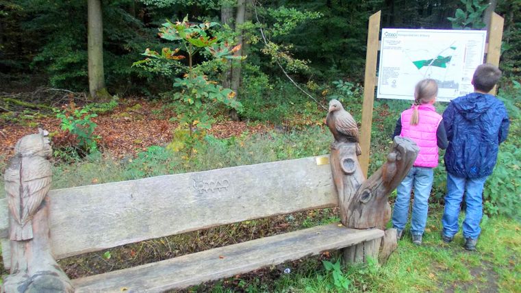 Twee kinderen staan voor een informatiebord in het bos naast een houten bank met uitgesneden uilen.