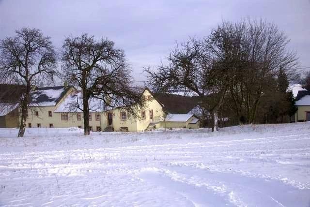 Eine verschneite Landschaft mit einem alten Gebäude im Hintergrund. Die Bäume sind kahl und der Himmel ist bewölkt.