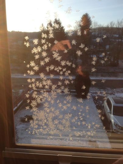 Frost flowers are visible on a window. In the background, trees and a parking lot with cars are visible.