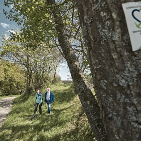 Wanderung entlang des Steinbach Rundweg Masburg, © Schieferland Kaisersesch, Marco Rothbrust