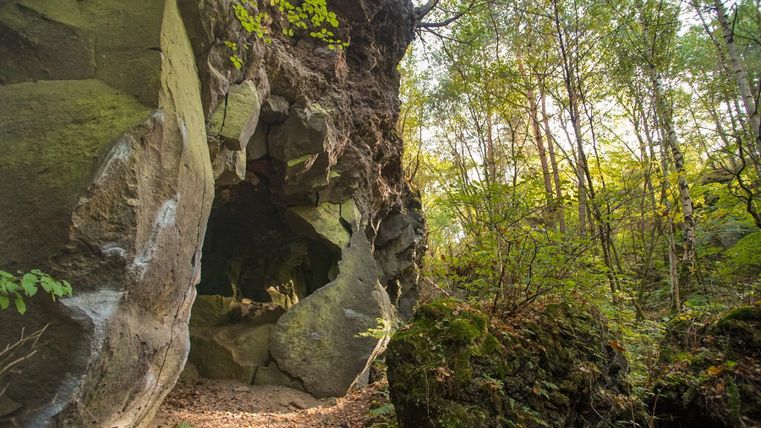 Een rotsachtige grot midden in een groene bos. Het licht schijnt zachtjes door de bomen.