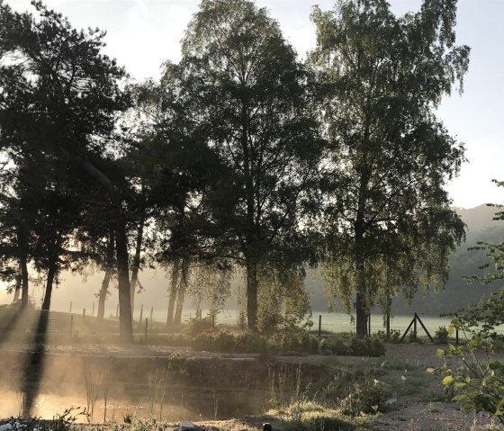View from the garden to the east