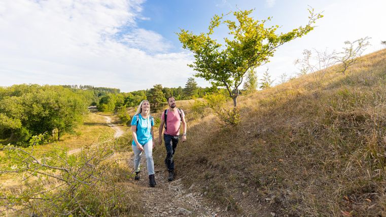 Deux randonneurs empruntent un sentier étroit, entourés de douces collines et d'arbres. Le ciel est dégagé et le paysage semble accueillant.