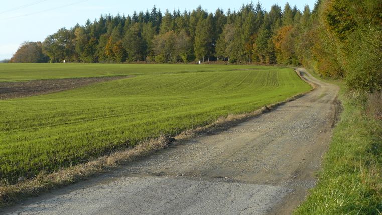 Landelijk pad naast een groen veld en bos.
