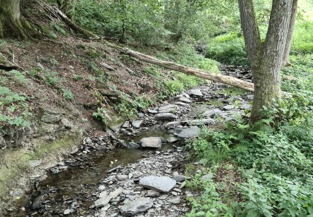 levendig kabbelend Richelsbach