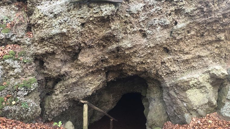 Entrance to the Martins Cave in Hohenfels-Essingen, surrounded by foliage and rocks. A wooden sign displaying the inscription 'Martins Cave' is visible.