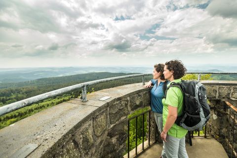 Two people stand on a lookout tower and gaze into the distance over a wooded landscape.
