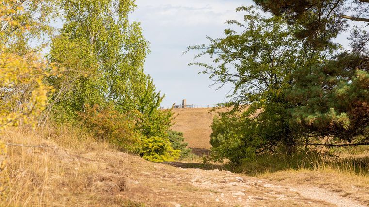 A narrow path leads through an autumn landscape with trees. In the background, a hilltop with a structure is visible.