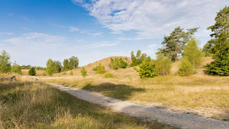 A vast, peaceful landscape with gentle hills and a gravel path.Scattered trees stand, and the clouds are visible in the blue sky.