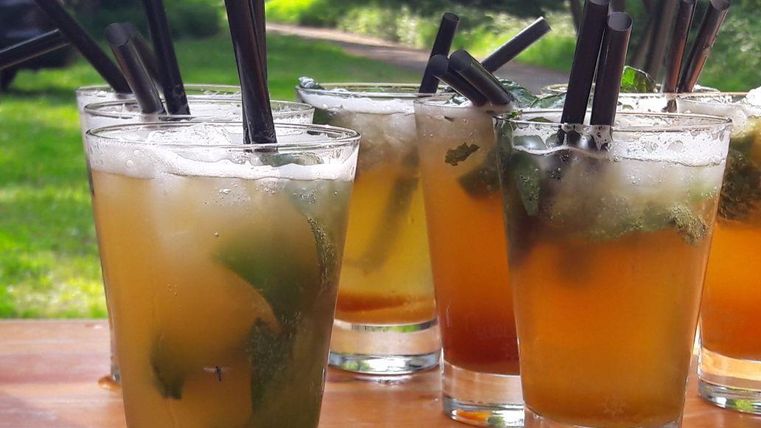 Erfrischende Cocktails mit Eis und Minze in klaren Gläsern. Die Getränke stehen auf einem Tisch im Freien, umgeben von grüner Natur.
