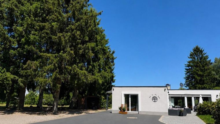 Een modern huis omringd door hoge bomen onder een heldere blauwe lucht. De oprit is geplaveid en uitnodigend ingericht.
