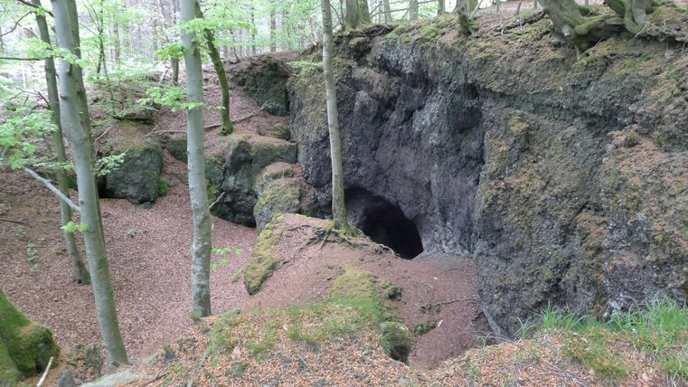 Ein geheimnisvoller Eingang zu einer Höhle in einem Wald. Umgeben von Bäumen und Moos ist die Umgebung ruhig und natürlich.