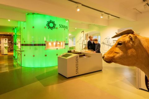 Vater und Sohn betrachten eine interaktive Ausstellungseinheit zum Thema landwirtschaftliche Strategien im Eifelmuseum Mayen. Links leuchtet ein großer, grüner Ausstellungsbereich mit dem Schriftzug ‚Sommer‘. Im Vordergrund steht eine naturgetreue Nachbildung einer Kuh. An der Wand sind Werkzeuge und Wandzeichnungen bäuerlicher Arbeit zu sehen.